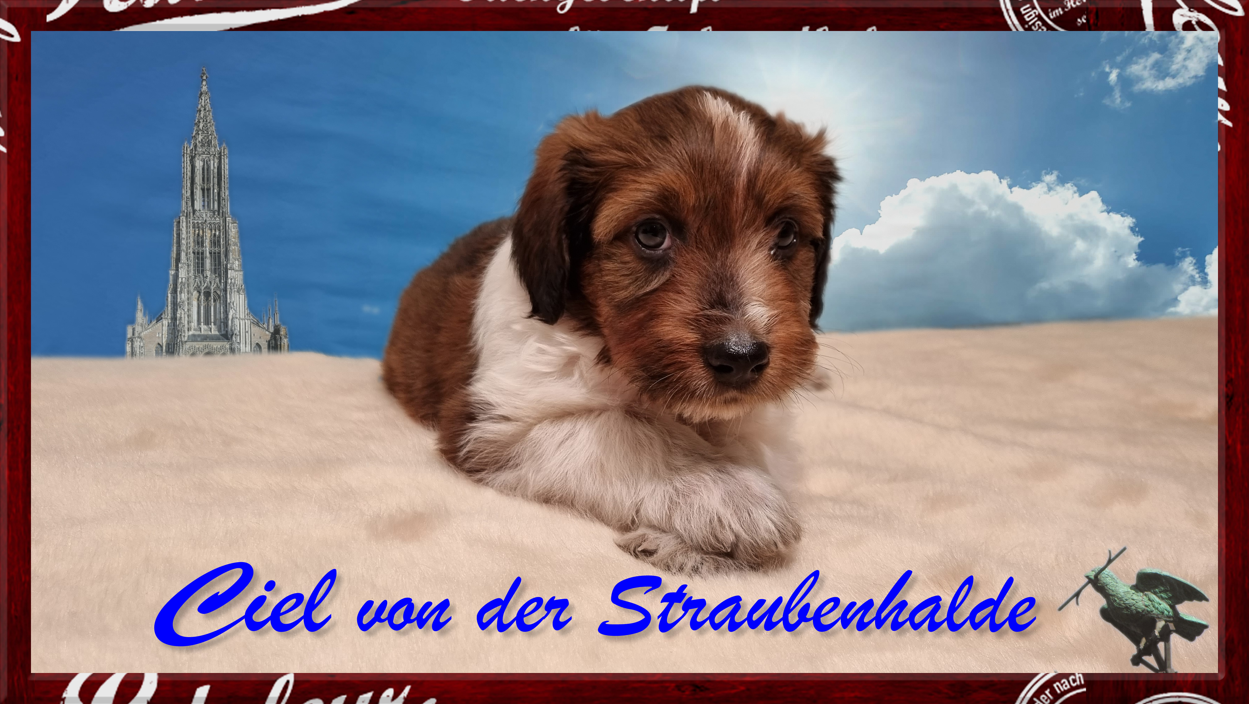 Wäller von der Straubenhalde